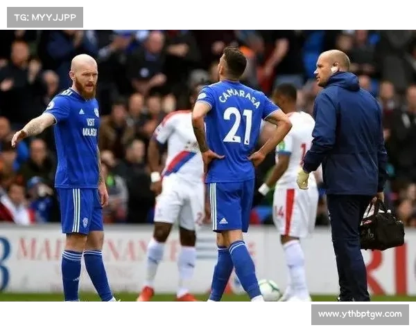 全面解析英冠联赛的赛制体系与升降级规则详解