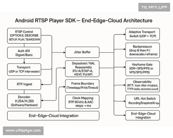 埃因青年与阿贾青年青训体系对比分析及发展路径探讨